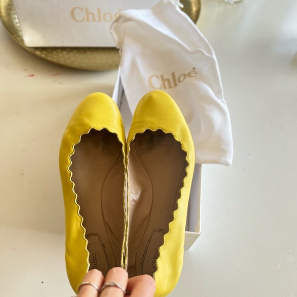 ☀️Chloe Lauren Ballerina Flats ☀️ - Picture 3 of 5
